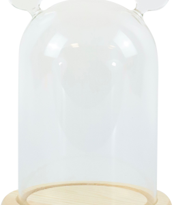 5541 CLOCHE EN VERRE BROADWAY